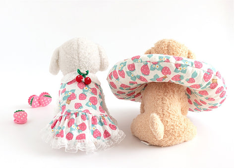 Strawberry Bear Organic Cotton Knit Fabric, GOTS Certified, By the Yard /53885