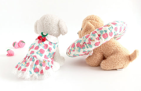Strawberry Bear Organic Cotton Knit Fabric, GOTS Certified, By the Yard /53885